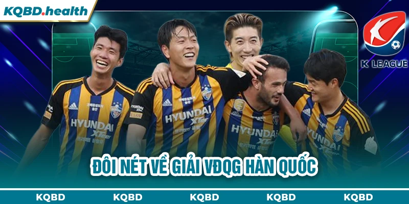 VĐQG Hàn Quốc 10 Đôi nét về giải VĐQG Hàn Quốc