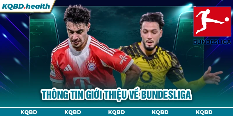 Bundesliga 10 Thông tin giới thiệu về Bundesliga