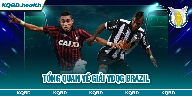 VĐQG Brazil 10 Tổng quan về giải VĐQG Brazil