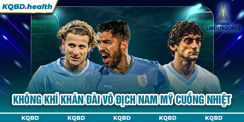 Vô Địch Nam Mỹ 12 Không khí khán đài Vô địch Nam Mỹ cuồng nhiệt
